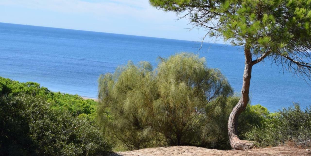 Apartamento Playa De Punta Candor 罗塔 外观 照片